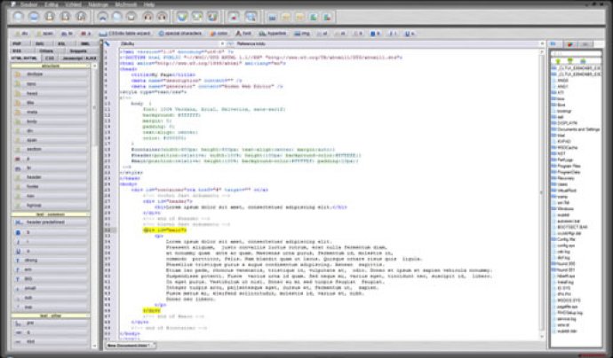 Roden Web Editor PRO Roden Web Editor PRO