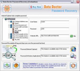 View Internet Explorer Password