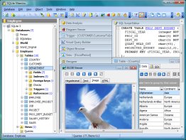 SQLite Maestro