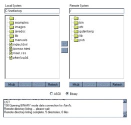 FTP Applet Professional Edition