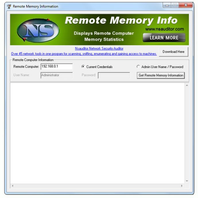 RemoteMemoryInfo RemoteMemoryInfo