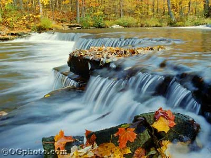 Autumn Screen Saver and Wallpaper Autumn Screen Saver and Wallpaper